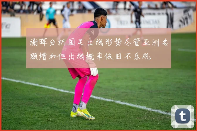 谢晖分析国足出线形势尽管亚洲名额增加但出线概率依旧不乐观